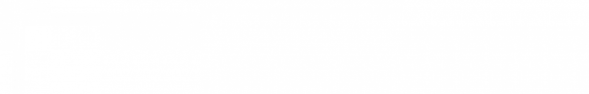 wirexpert-500plus