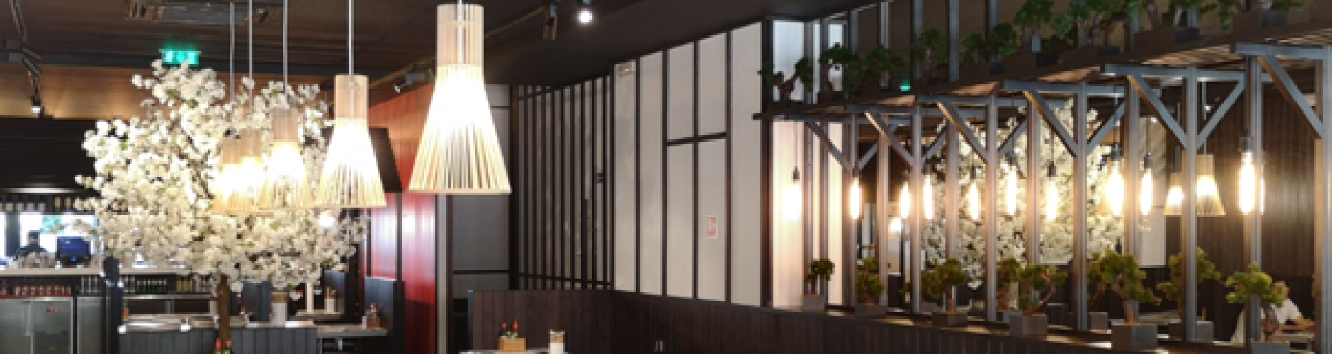 ILUMINACIÓN RESTAURANTE UDON LISBOA
